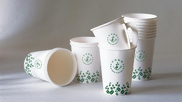 plastic paper cup counting and packaging machine automatic counter and packer system