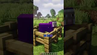 Minecraft’s Secret Rainbow Sheep! 🌈🐑