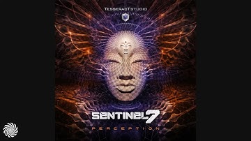 Sentinel 7 - Perception