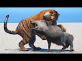 Bengal tiger vs all other animals in far cry 4