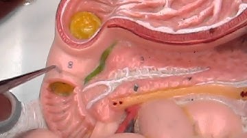 Lab #8 and #9 video 2