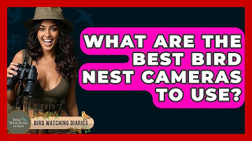 What Are The Best Bird Nest Cameras To Use? - Bird Watching Diaries