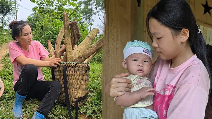 Gardening vegetables. Harvest blood-boosting blood-boosting plants for sale | Mụi Muội - My life - DayDayNews