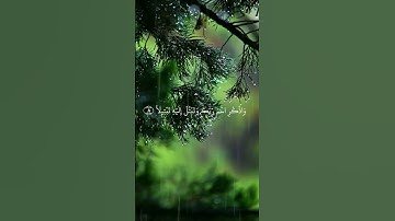 ما تيسر من سورة المزمل #اكسبلور #quran