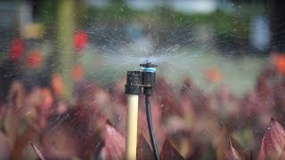 Introducing Senninger's Micro-Sprinklers