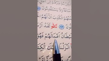 سورة النحل الأية 62 إلى 64 القارئ سعد الغامدي
