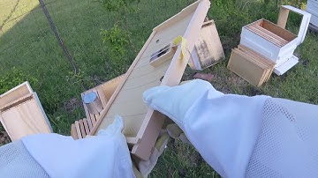 Bee package installation (First timer)