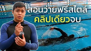 สอนว่ายท่าฟรีสไตล์ที่ถูกต้อง | SwimmingLab