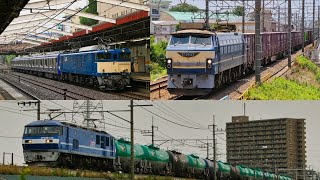 武蔵野線貨物列車 9644ﾚEF64 E253系配給 EF66-27 他  2020年6月