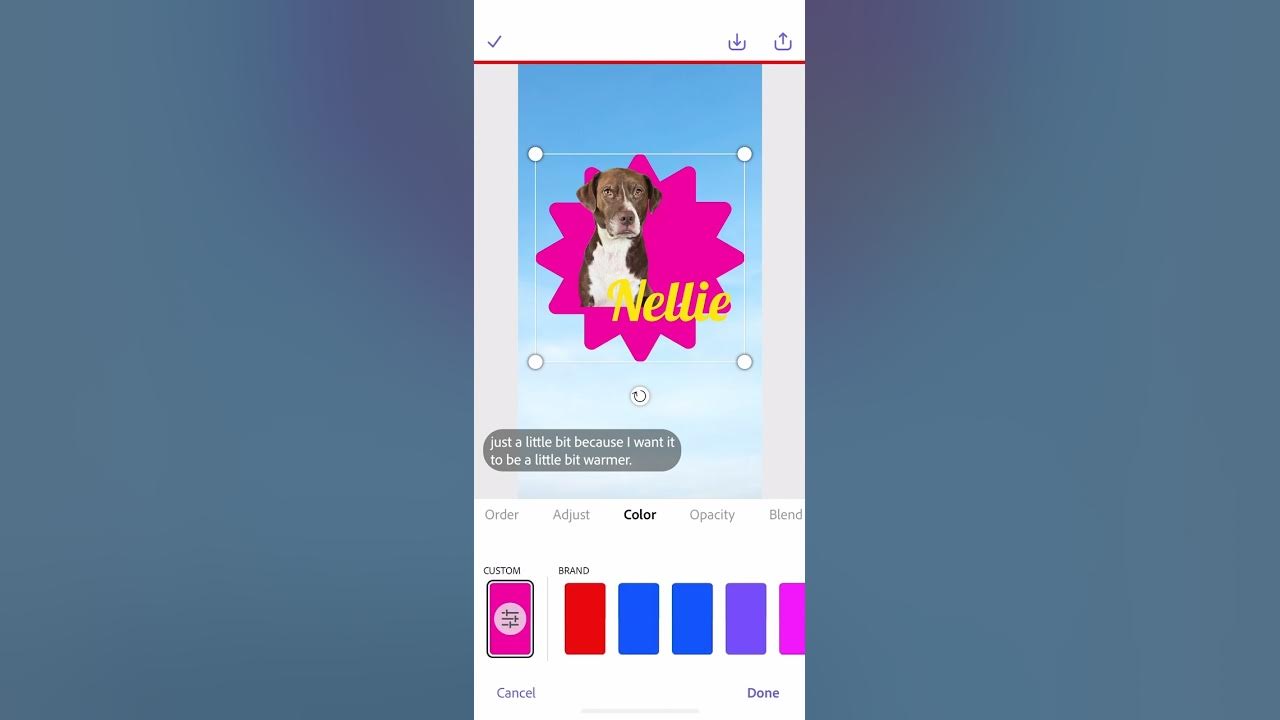 make-your-own-barbie-meme-secrets-revealed-design-socialmedia