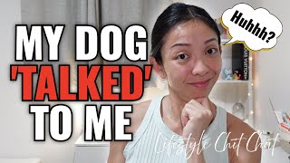 Animal Communication Workshop L1 - Learning to Connect to Animals | Lifestyle Chit Chat  | Kat L