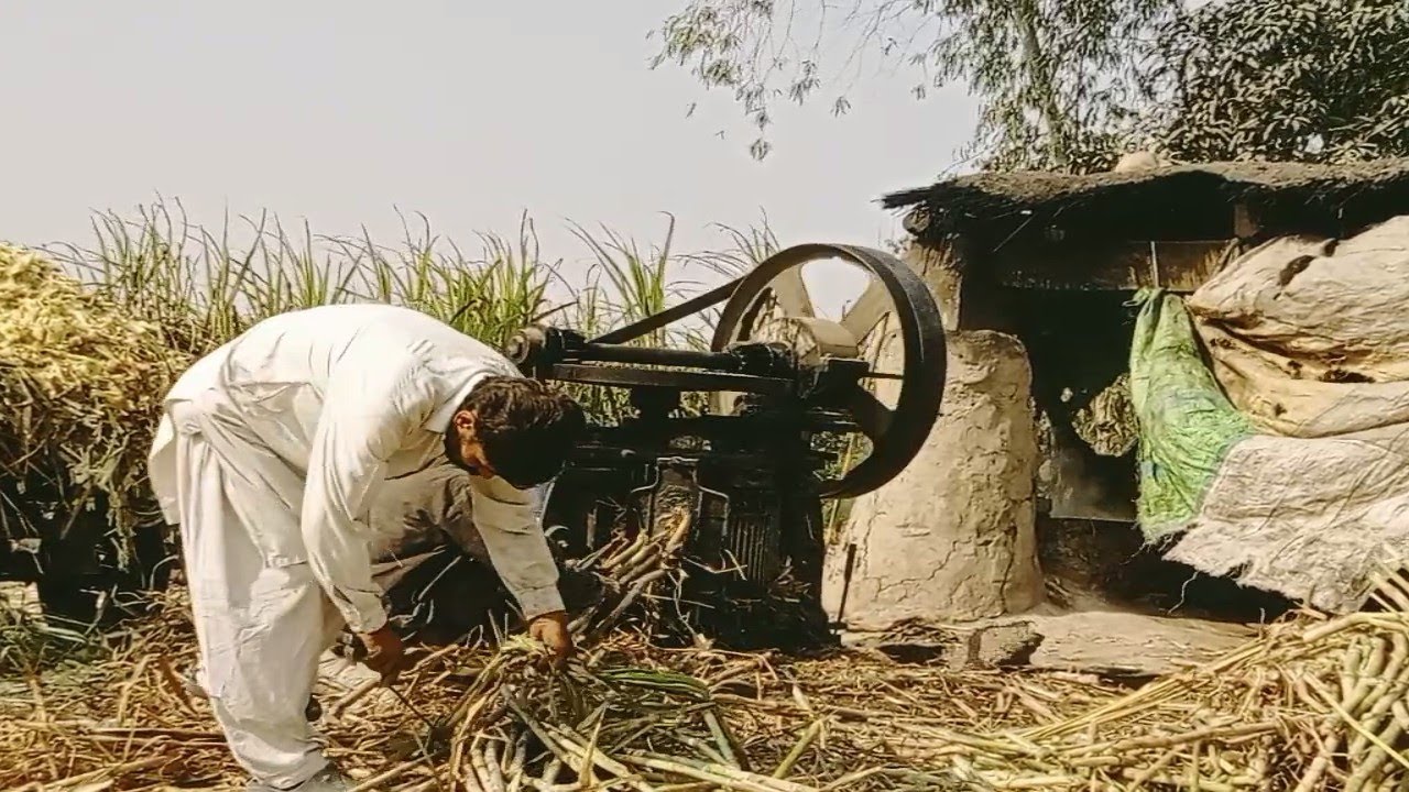 From Sugarcane to Juice Using a Strange Desi Method 🔥