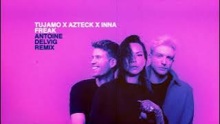 Tujamo x Azteck x INNA - Freak [Antoine Delvig Remix] (Visualizer)
