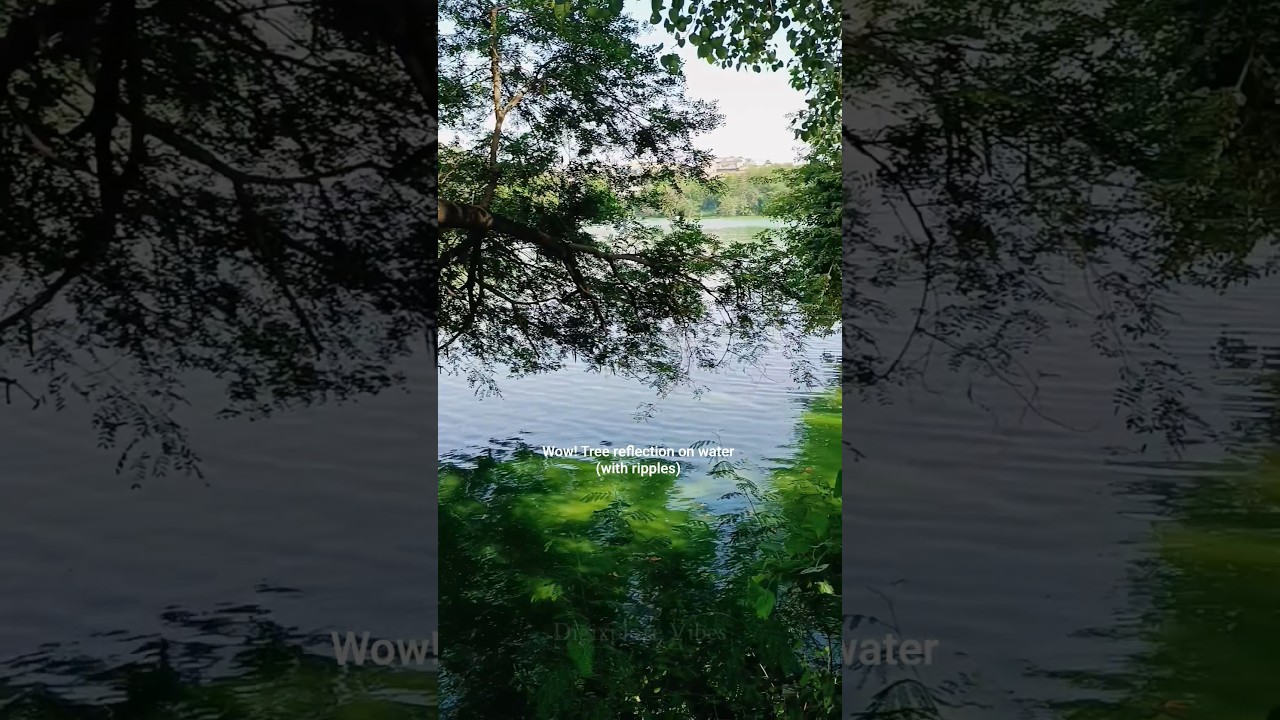 long walks become easy with this sightseeing 