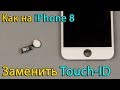 iPhone 8 Замена кнопки home