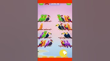 bird sort color puzzle game #gameplay #games #game #birds #gaming #colors #shorts