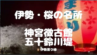 伊勢・桜の名所（伊勢七宝まりのお部屋）　令和4年4月吉日