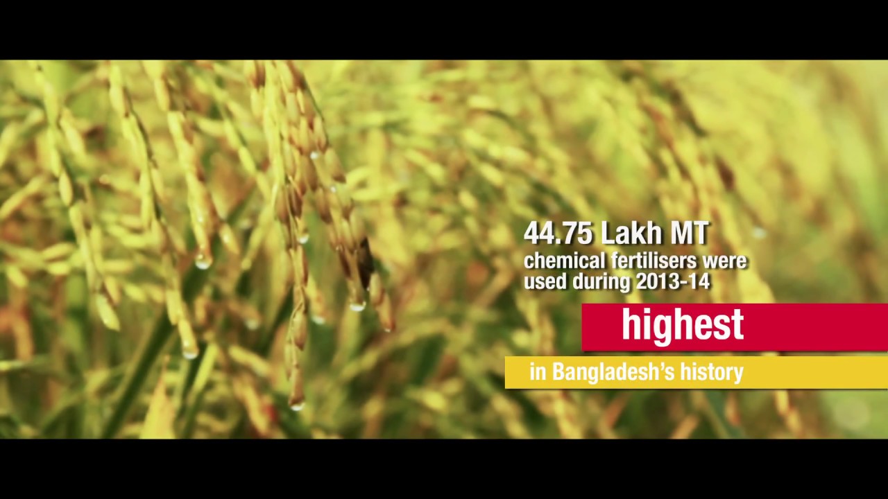 Fertile Ground A documentary on soil health YouTube