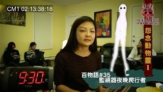 鬼故事趴 百鬼物語ep12 怨念動物靈 上 Youtube 鬼故事趴 百鬼物語ep12 怨念動物靈 上 Youtube