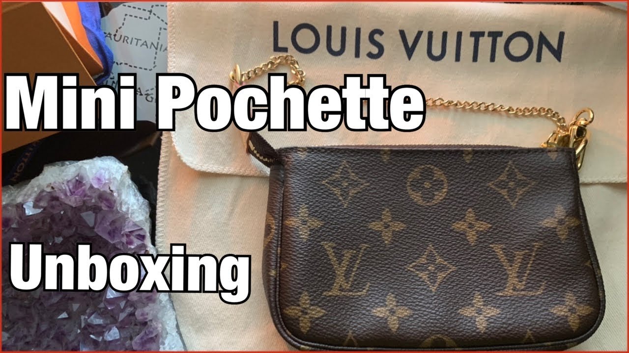 LOUIS VUITTON POCHETTE ACCESSOIRES UNBOXING & REVIEW 