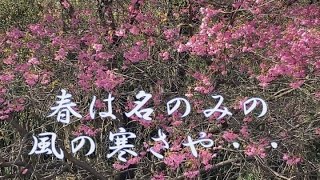 春は名のみの風の寒さや・・