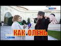 КАДЫРОВ ДРЕВНИЙ ЯЗЫК ЗНАЕТ ПРЕКРАСНО. ОН ДОЛГО УЧИЛ ЯЗЫК ТАНЦА