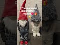 "Osvoji 2 patuljka!🎁Pogledaj moj poslednji post👇" #nagradnaigra#osvoji#patuljci#diy#novagodina