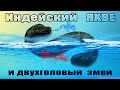 Индейский ЯХВЕ и двухголовый змей