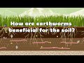 How are earthworms beneficial for the soil?