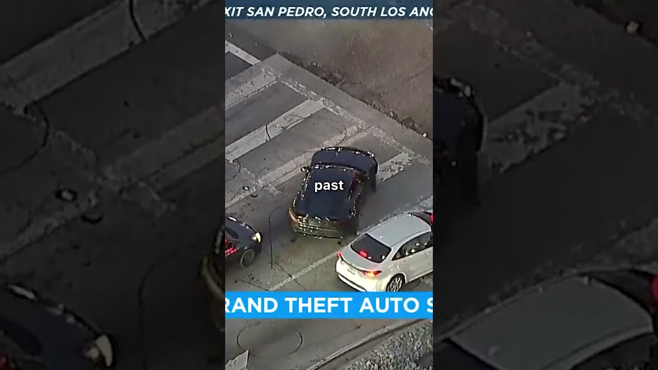Car Thief Outsmarts The Police