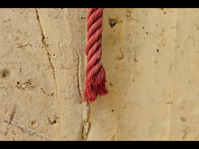 Joshua 6 – lifeline ("this scarlet chord")