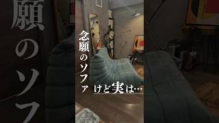 念願のソファ手に入れたんだけど実は…