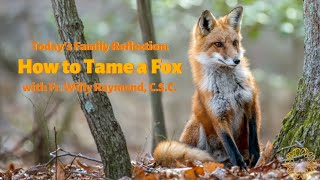 How to Tame a Fox | Father Willy Raymond, C.S.C.