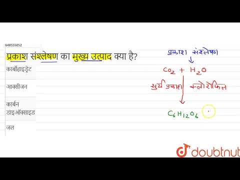 वीडियो: प्रकाश पर निर्भर प्रतिक्रिया का अपशिष्ट उत्पाद क्या है?