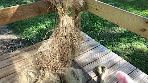 Flax prep from retting to long line