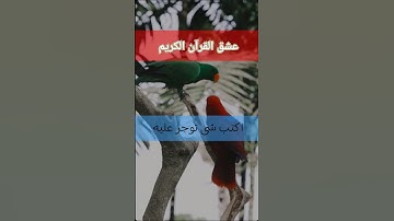 #قرآن_كريم #تلاوة_هادئة #يارب #القران #قرآن #راحة_نفسية #الرحمن #قصار_السور #اكسبلور #لايك