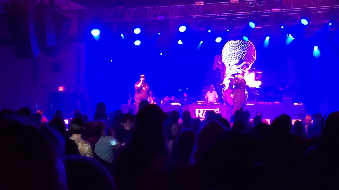 Erick Sermon "just like music" live at the Art of Rap concert 2019