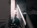 Reflexionando en la.escalera #motivationalvideo #500subs #artist