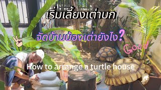 How to arrange a house for a turtle , turtle home เริ่มเลี้ยงเต่าบก จัดบ้านเต่าอย่างไร🐢🏡