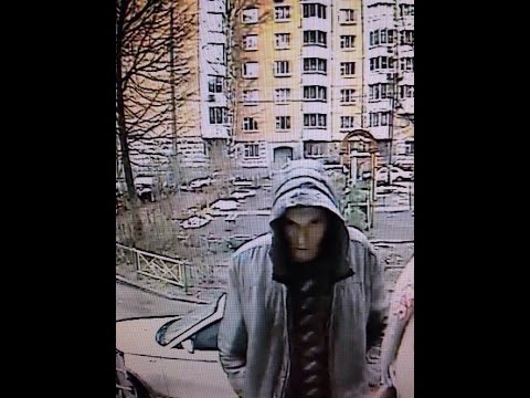 Внимание, розыск!