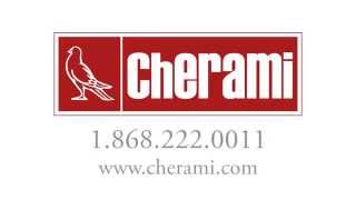 Switch to Cherami  With Animation