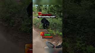 Biker runs into a massive black bear, and his textbook reaction saved his life... 🤐