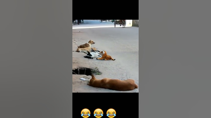 فيديو مضحك جدا فرفشه