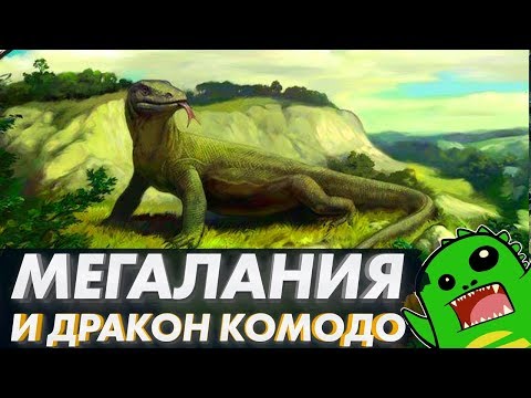 МЕГАЛАНИЯ И ДРАКОН КОМОДО - когда ящерица охотится на слона