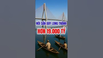 Chi hơn 19.000 tỷ xây cầu Cát Lái, thay phà nối TP.HCM – Đồng Nai | MAI TIỀN GIANG #short #2689