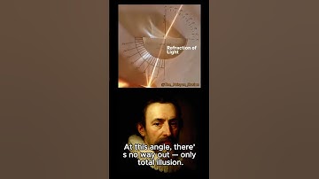 Total Internal Reflection in Real Life 🔦 | Physics Illusion #Shorts #Physics #Optics #STEM