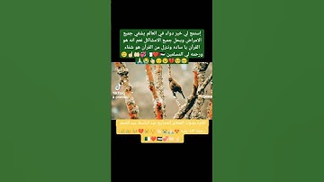 تلاوه بصوت الشيخ عبد الباسط عبد الصمد رحمة الله عليه #اكسبلور #تيك_توك #لايك #دويتو #duet #ترند
