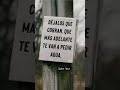 #badbunny #musica #tarot #ias #music #frases #reflexiones del dia #musicgenre #amor #poemasescritos
