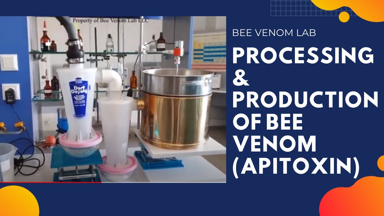 Processing & Production of Bee Venom (Apitoxin) - YouTube