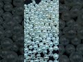 South Sea Pearl Wholesale 👉 WhatsApp +62 878 6502 6222 pearl farm 7